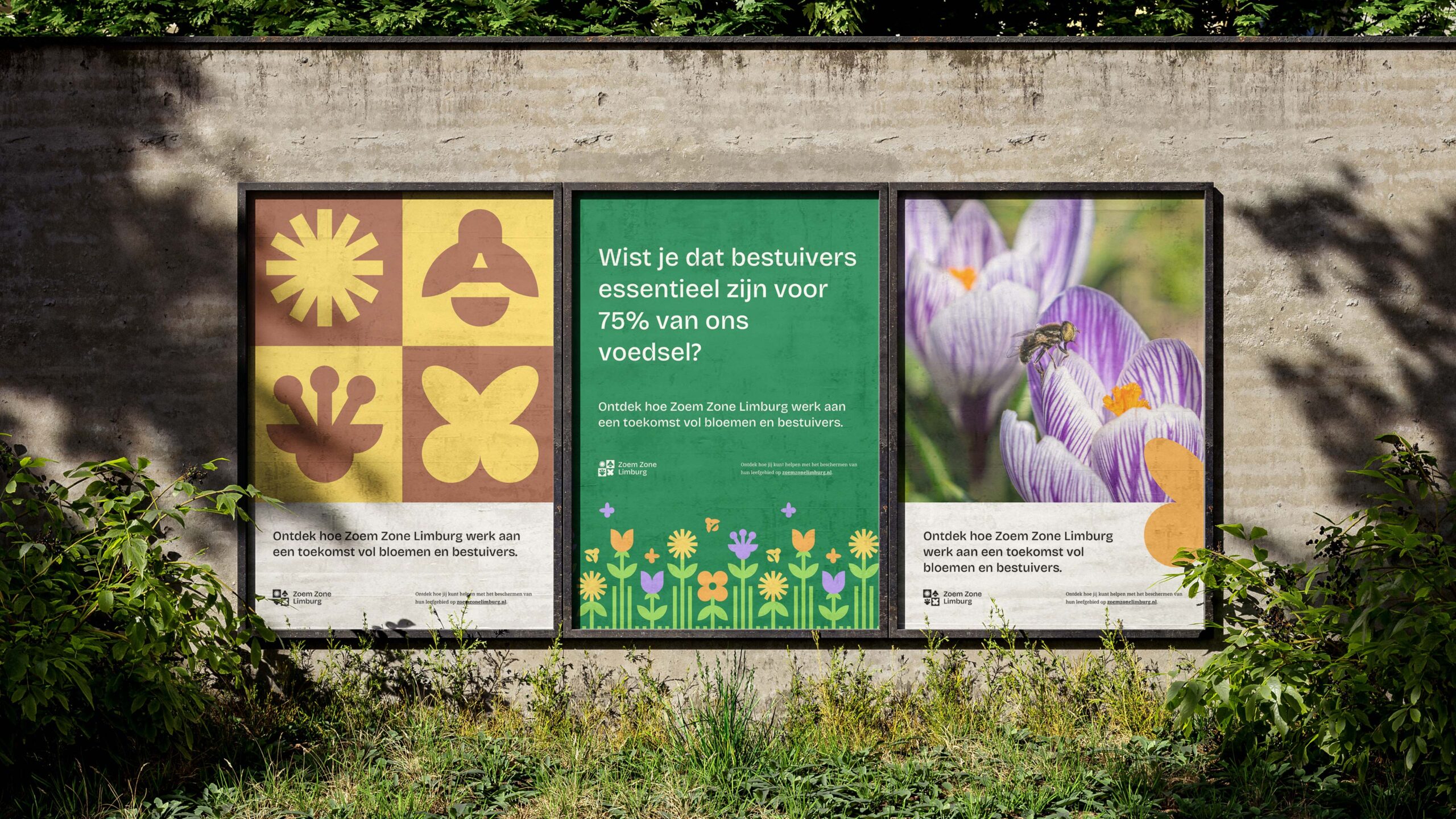 Haelsum-NMF-ZZL-01 Haelsum-NMF-ZZL-01